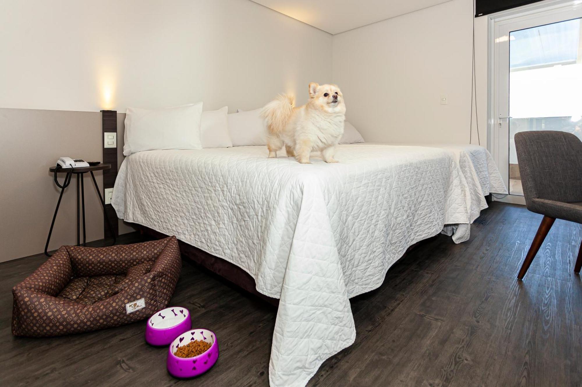 Travel Inn Hotels Caxias Do Sul Kültér fotó